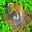 John Schneider's avatar