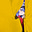 asy's avatar