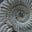 David Wardrop's avatar