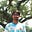 Junaed hasan's avatar