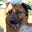 TexasLuckyDog's avatar