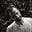 Thiago Floriani's avatar