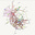 Functional Genomics's avatar