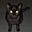 Merricat's avatar