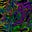 Fustbariclation's avatar
