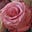 EER's avatar
