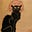 David Gardiner's avatar