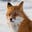 Gio V Fox's avatar