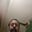 Deepak rao's avatar