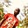 Mubiru Moses's avatar
