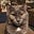 Joseph Patterson's avatar