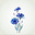 蓝色矢车菊's avatar