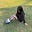 aprondress's avatar