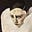 Sumeyya's avatar