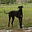 Barb Bacon's avatar