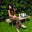 Natalie Felikian's avatar