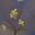 Patrick Kennedy's avatar