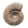 Vaels Quardón's avatar
