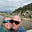 Cristine & Tom Naylor's avatar