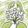 Elizabeth Baddeley's avatar
