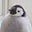 Rushi's avatar