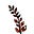 Crimson Fern's avatar