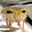 O.G.E.'s avatar