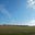 Open Road Ranch's avatar
