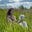 Sidsel Solmer Eriksen's avatar