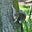 Jo Greenidge's avatar