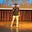 Nishant Trambadiya's avatar