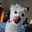WandaWomanEh's avatar