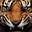 fretsward's avatar