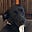 Cherie Thedford's avatar