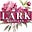 Lark Maitland's avatar
