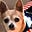 Pluto's avatar