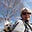 Lisa Erbes's avatar