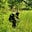 The Redneck Ninja's avatar