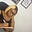 Virginia Amajor's avatar