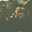 Will Speros's avatar