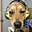 Bruce Youngblood's avatar