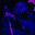 ders's avatar