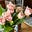 Linda’s Morning Media Review's avatar