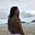 Morri, mas passo Bem.'s avatar
