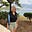 Leslie Hornstein's avatar
