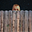 RickRickRick's avatar