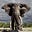 Frederick Kotze's avatar