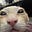 sloanie's avatar