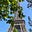 Mindful Walks In Paris's avatar