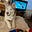 Gail Fonda's avatar